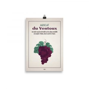 Poster Decoration cuisine " Muscat du Ventoux"