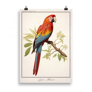 Affiche naturaliste vintage représentant un perroquet ara rouge perché sur une branche tropicale, au plumage éclatant. Vintage naturalist poster depicting a scarlet macaw perched on a tropical branch, with vibrant feathers.