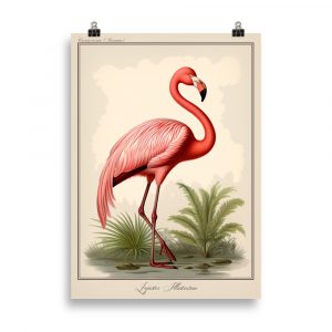 Affiche naturaliste vintage représentant un flamant rose au plumage délicatement coloré, debout dans les eaux peu profondes, dans un style rétro inspiré des planches zoologiques anciennes. Vintage naturalist poster depicting a pink flamingo with soft plumage, standing in shallow waters, in a retro style inspired by antique zoological plates.